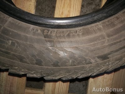 Dunlop зимние шины | 1