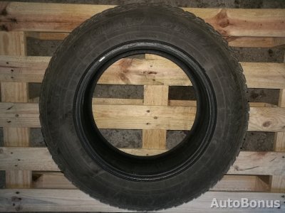 Dunlop зимние шины | 2