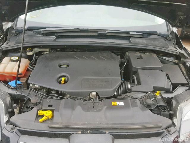 Ford Focus, Hatchback | 2