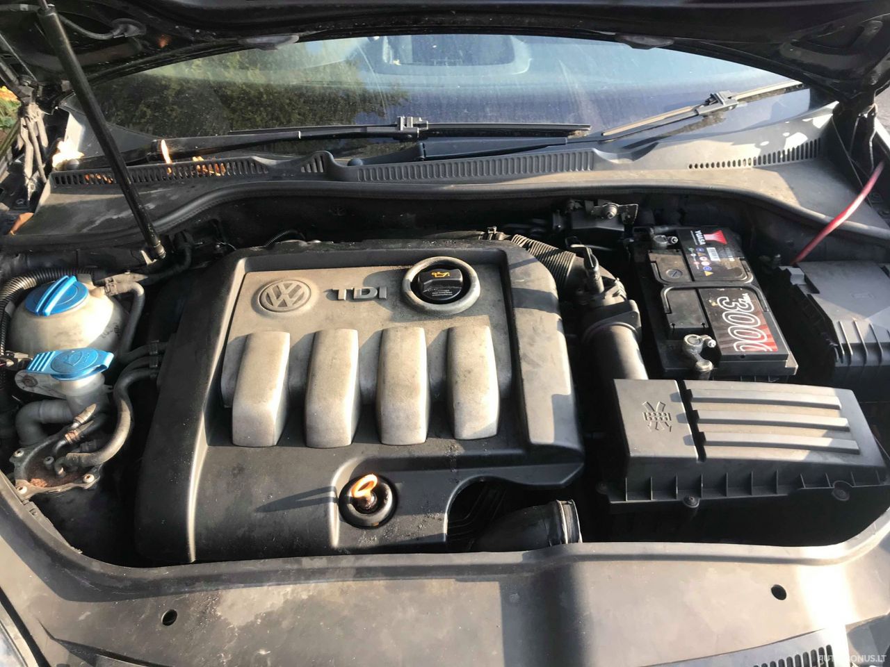 Volkswagen Golf, Hatchback | 4