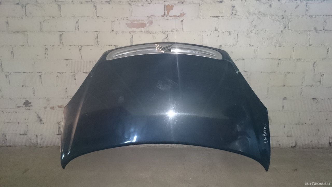 Citroen Xsara Picasso, Monovolume