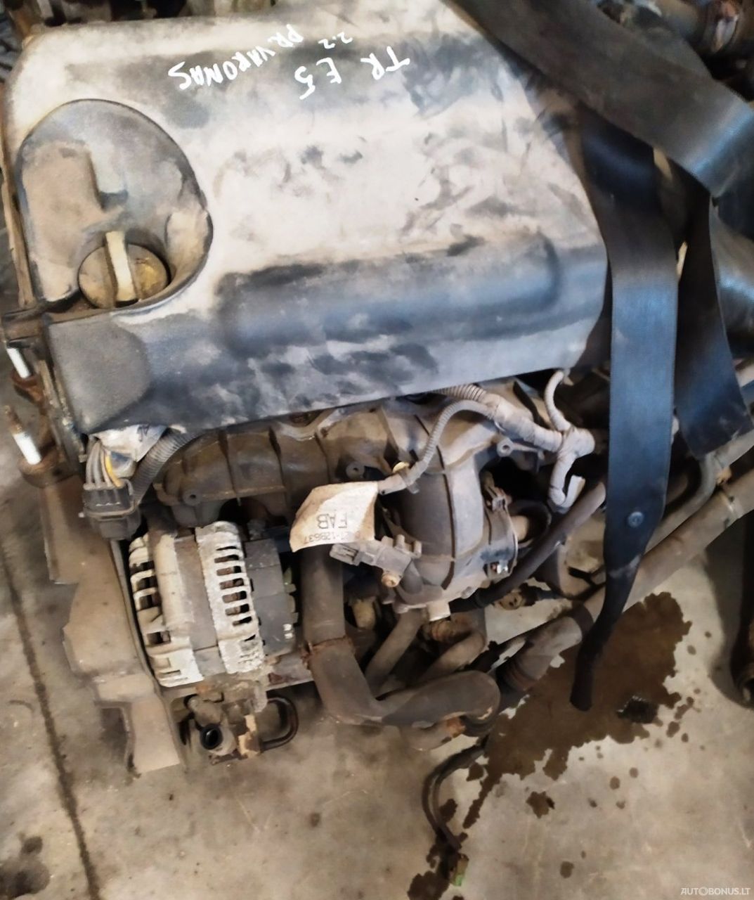 Ford Transit | 2