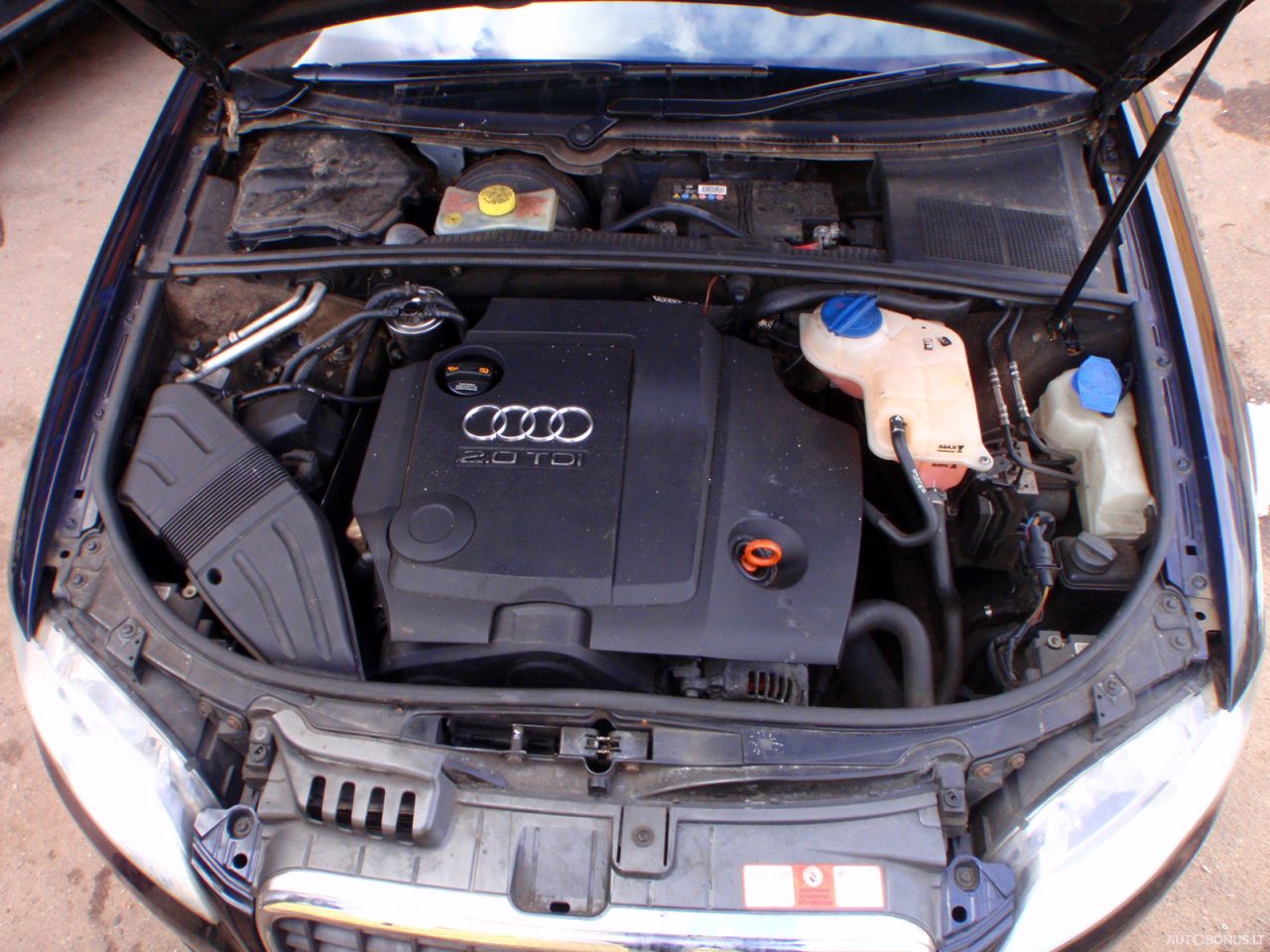 Audi A4, Universal | 5