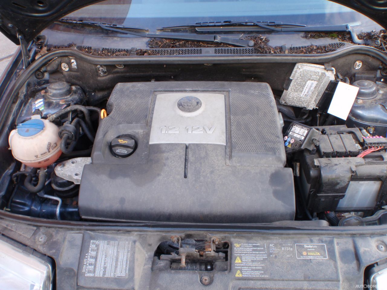 Skoda Fabia, Hatchback | 5