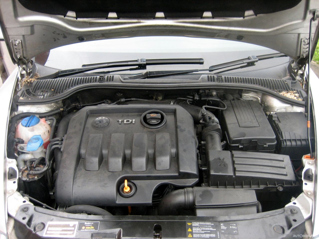 Skoda Octavia, Hečbekas | 5
