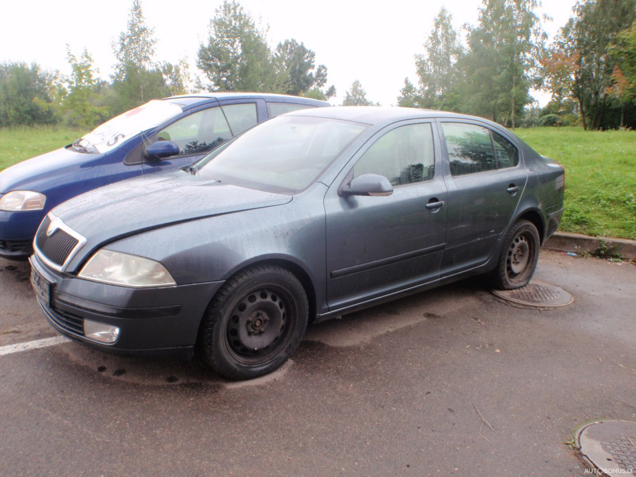 Skoda Octavia, Hečbekas | 2