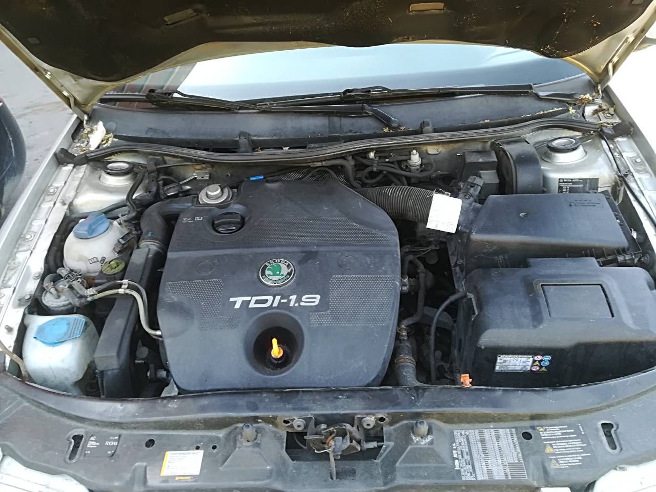 Skoda Octavia, Hatchback | 5