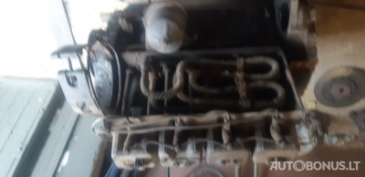 Belarus T-40, Traktoriai | 3