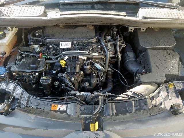 Ford Grand C-MAX, Vienatūris | 6