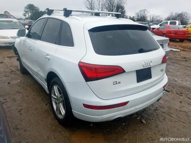 Audi Q5 | 2