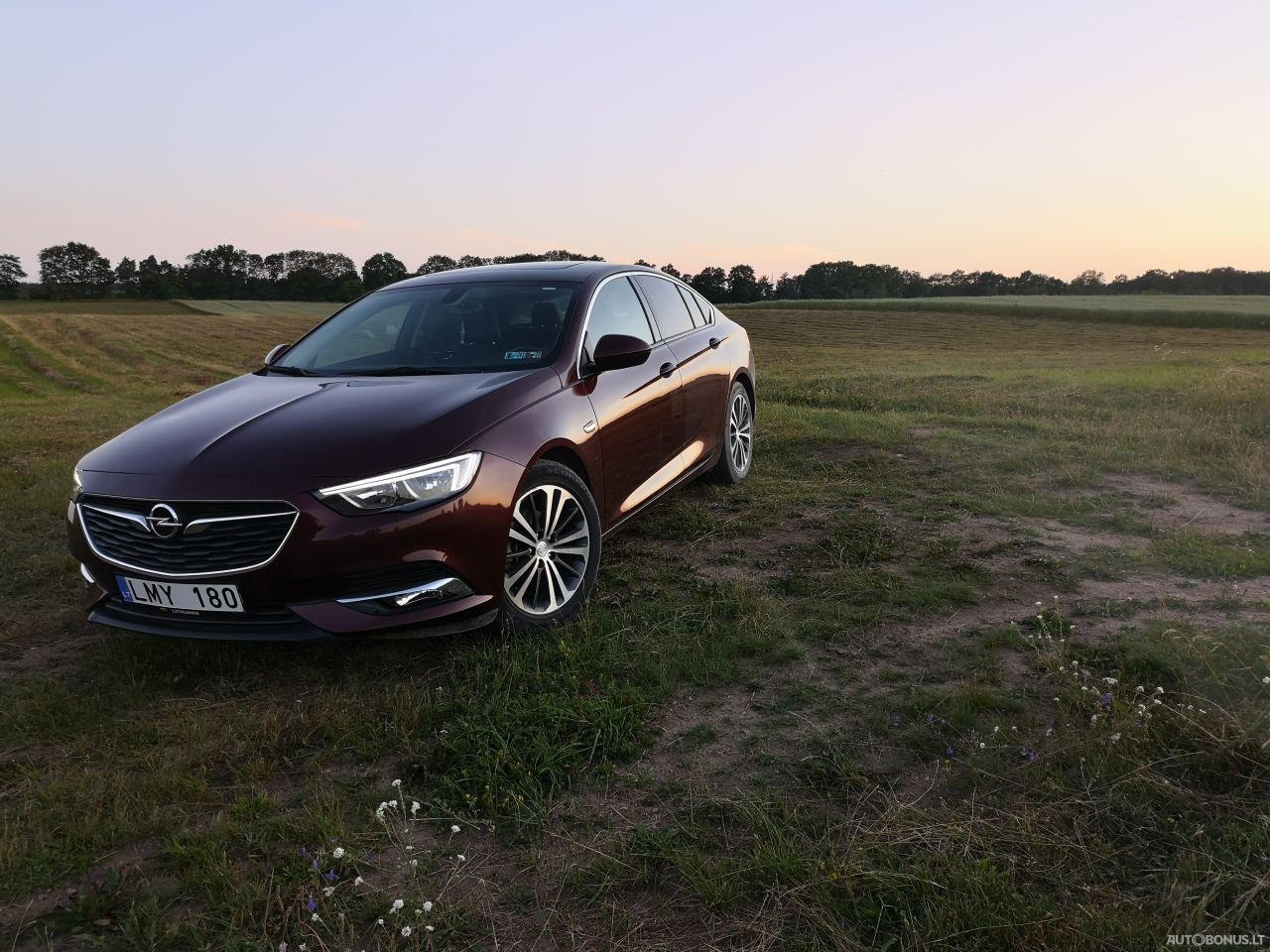Opel Insignia | 19
