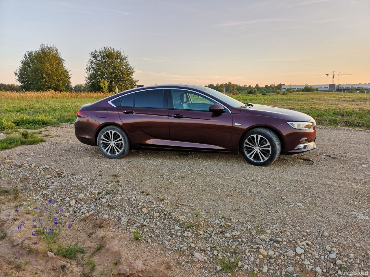 Opel Insignia | 4