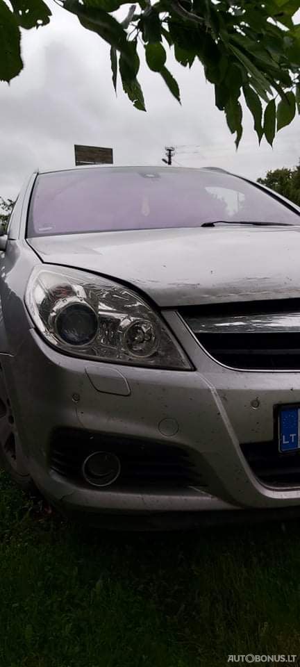 Opel Signum | 1