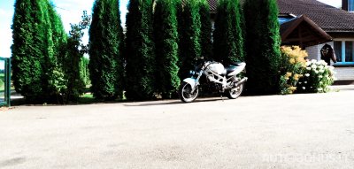 Suzuki TL, Street / Klasikiniai | 2