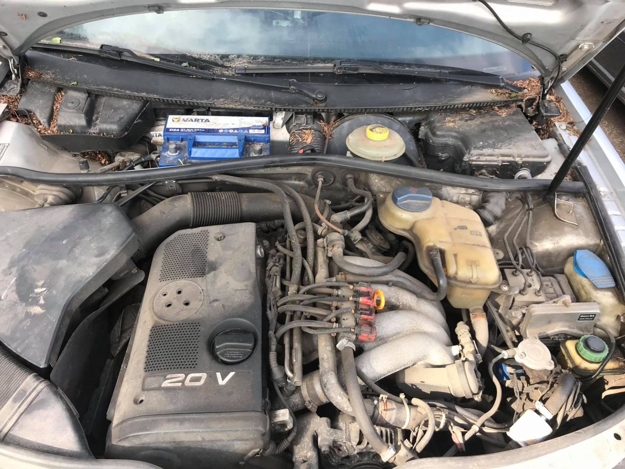 Volkswagen Passat, Sedanas | 4