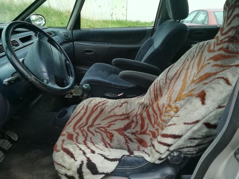 Renault 4, Минивэн | 5