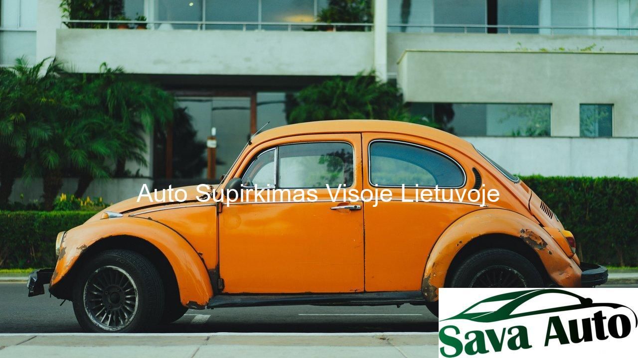  Panevėžio autosupirkėjai Auto supirkimas Panevėžys | 9