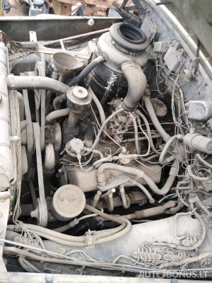 ZIL 131, Bortiniai | 1