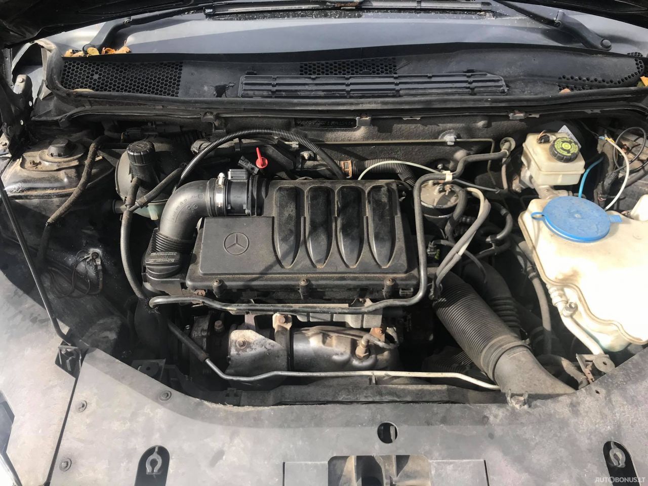 Mercedes-Benz B class, Hatchback | 5