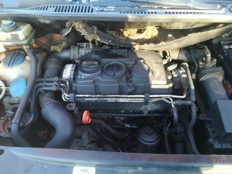 Volkswagen, Komercinis | 1