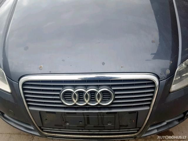 Audi A6, Universal | 1