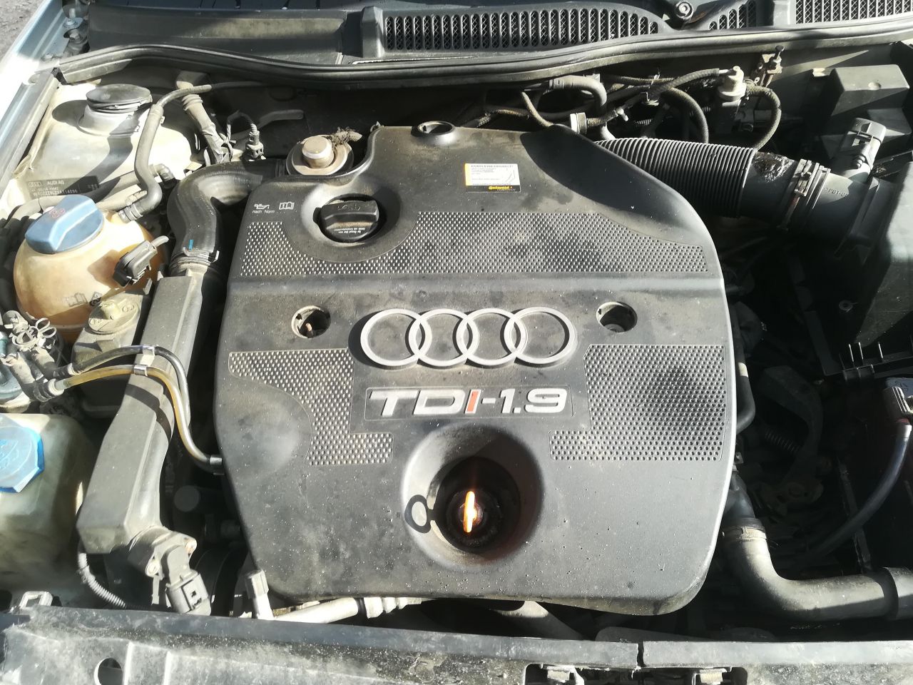 Audi, Hatchback | 1