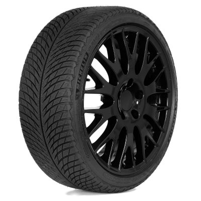 Michelin PILOT ALPIN 5 98V XL žieminės padangos