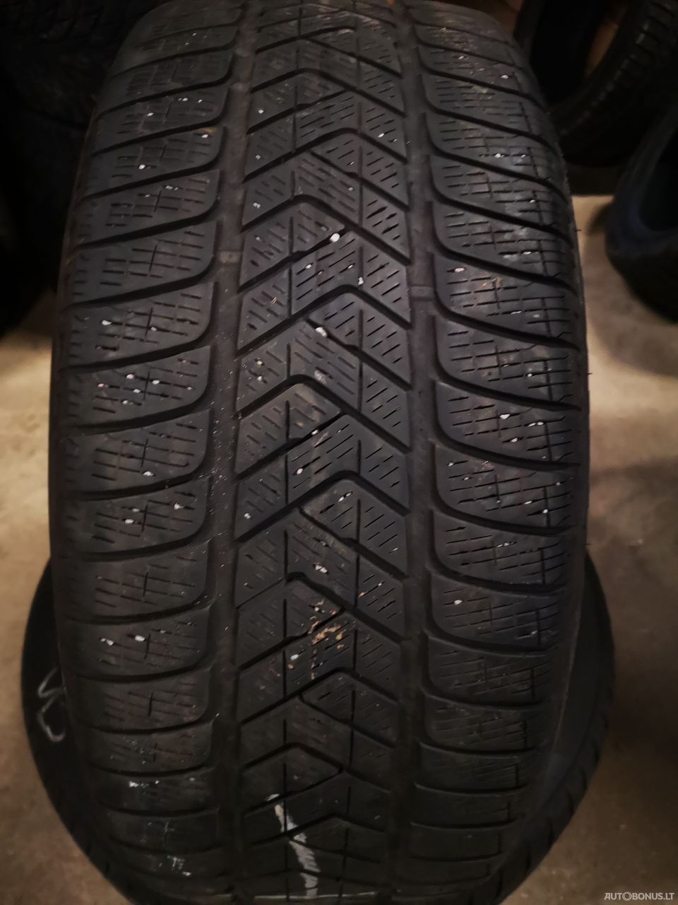 Pirelli žieminės padangos | 1