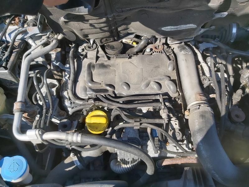 Nissan, Visureigis | 1