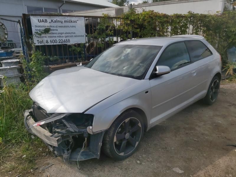 Audi, Hečbekas