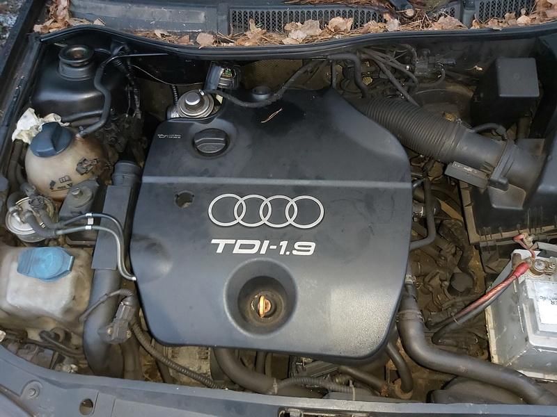 Audi, Hečbekas | 1