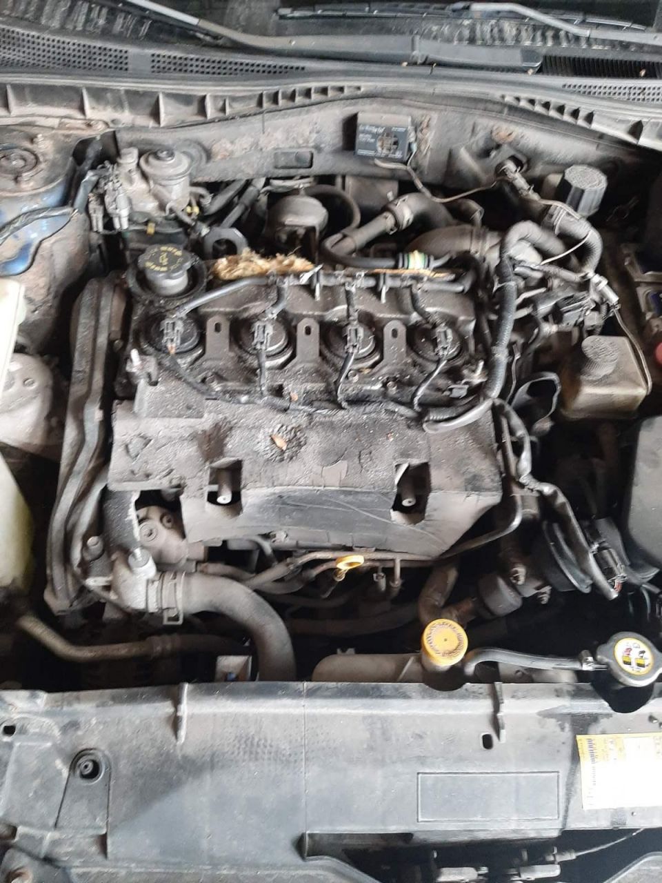 Mazda, Hečbekas | 7