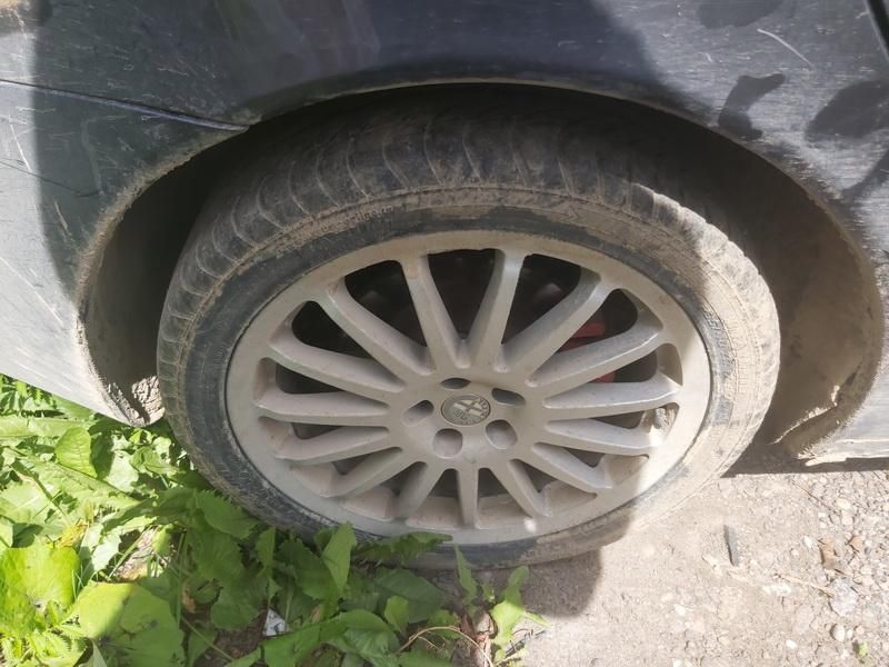 Alfa Romeo, Universalas | 7