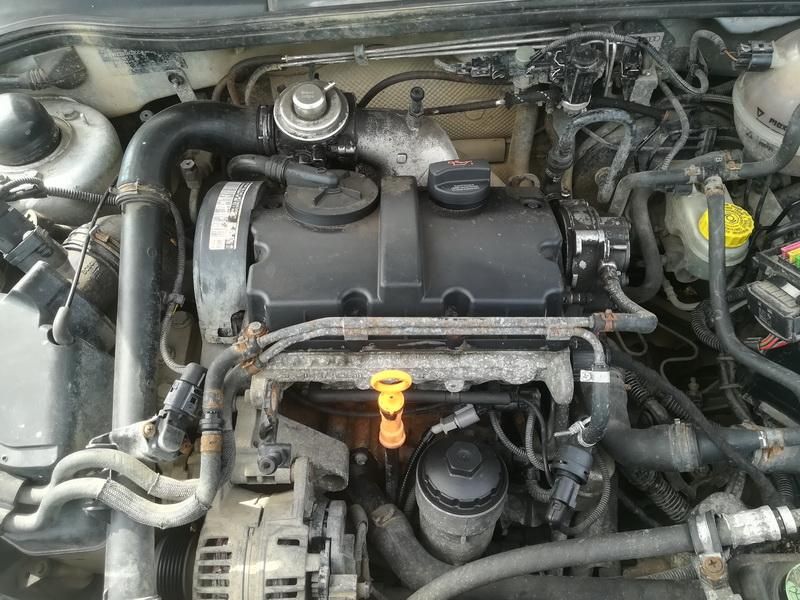 Volkswagen, Hečbekas | 1