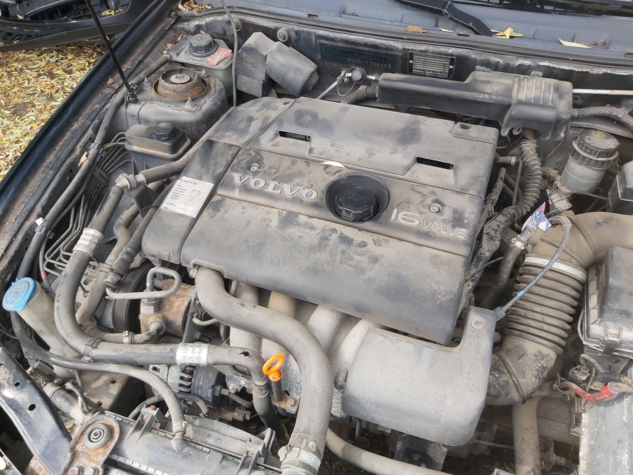 Volvo V40, Universalas | 1
