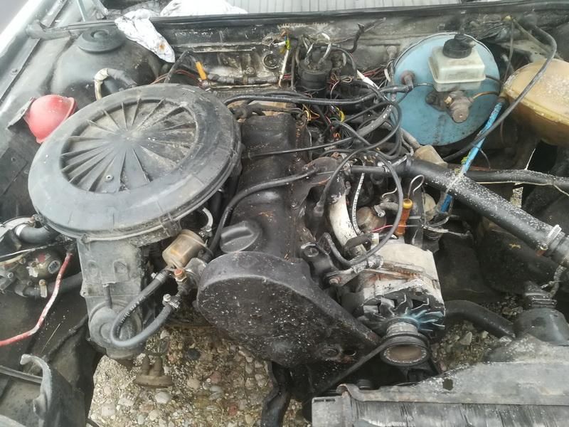 Volkswagen, Universalas | 1