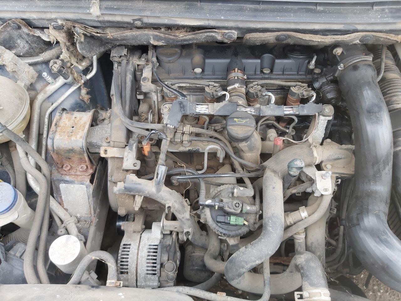 Peugeot, Hečbekas | 1