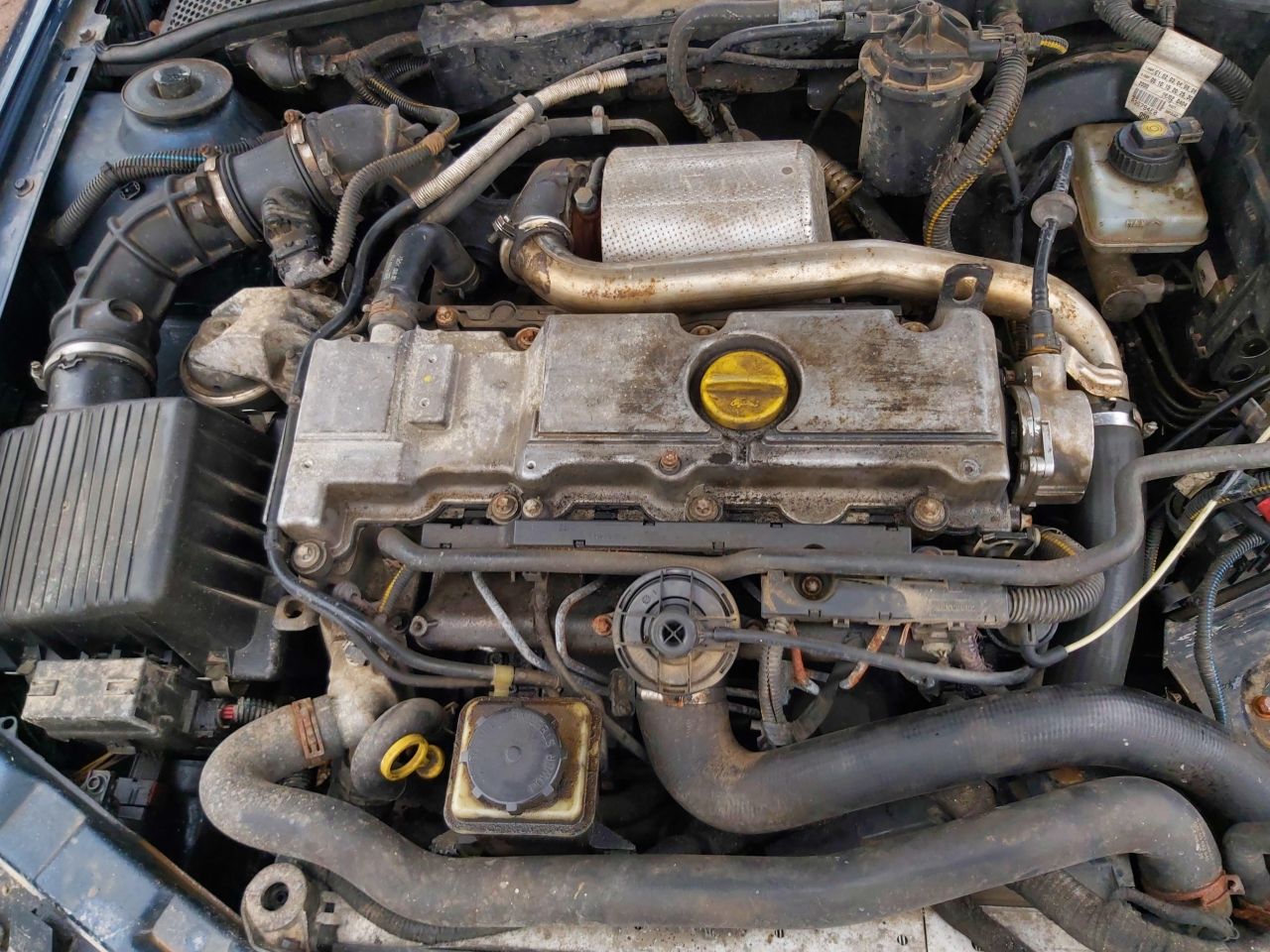 Opel, Universalas | 1