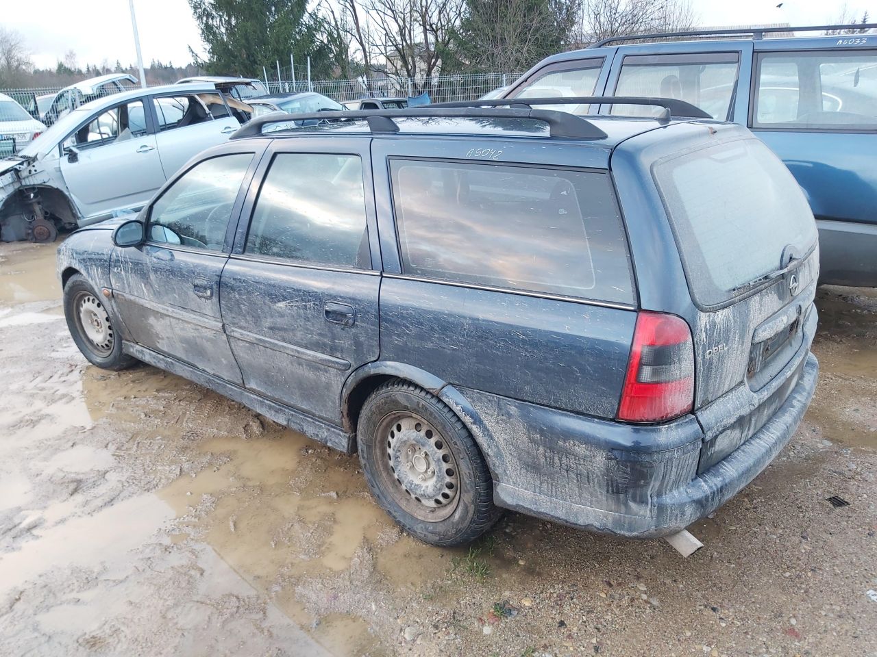 Opel, Universalas | 6