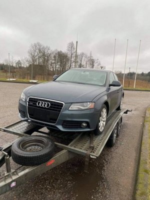 Audi, Universalas