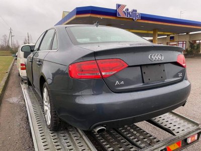 Audi, Visureigis | 1