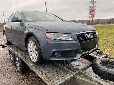 Audi, Visureigis | 3