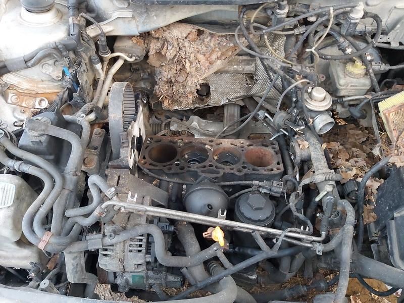 Volkswagen, Universalas | 1