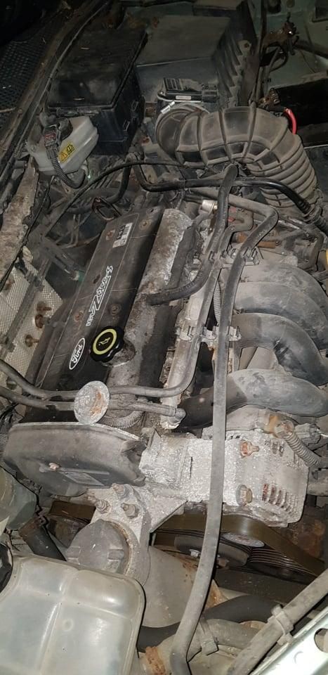 Ford, Hečbekas | 3