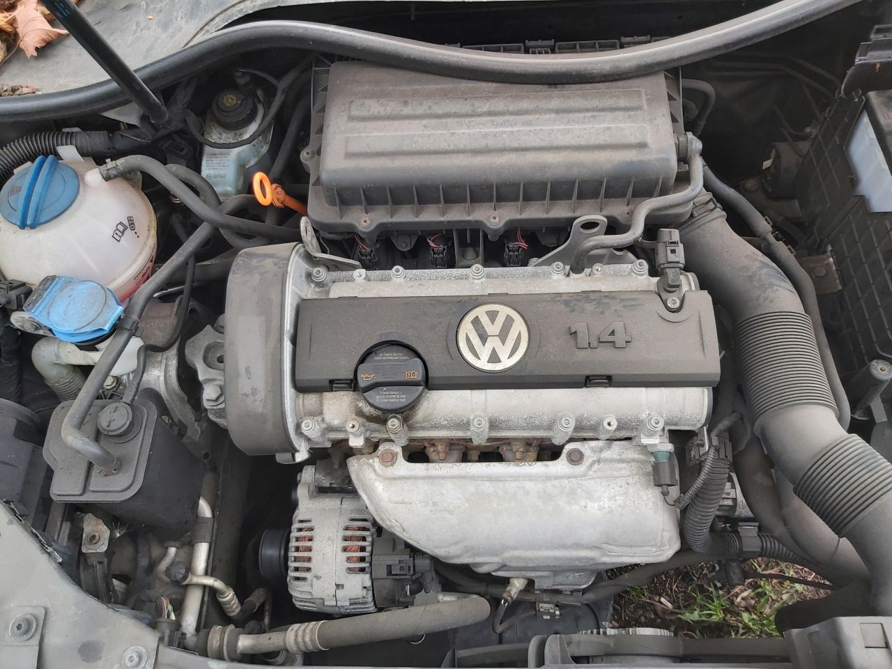 Volkswagen, Hečbekas | 1