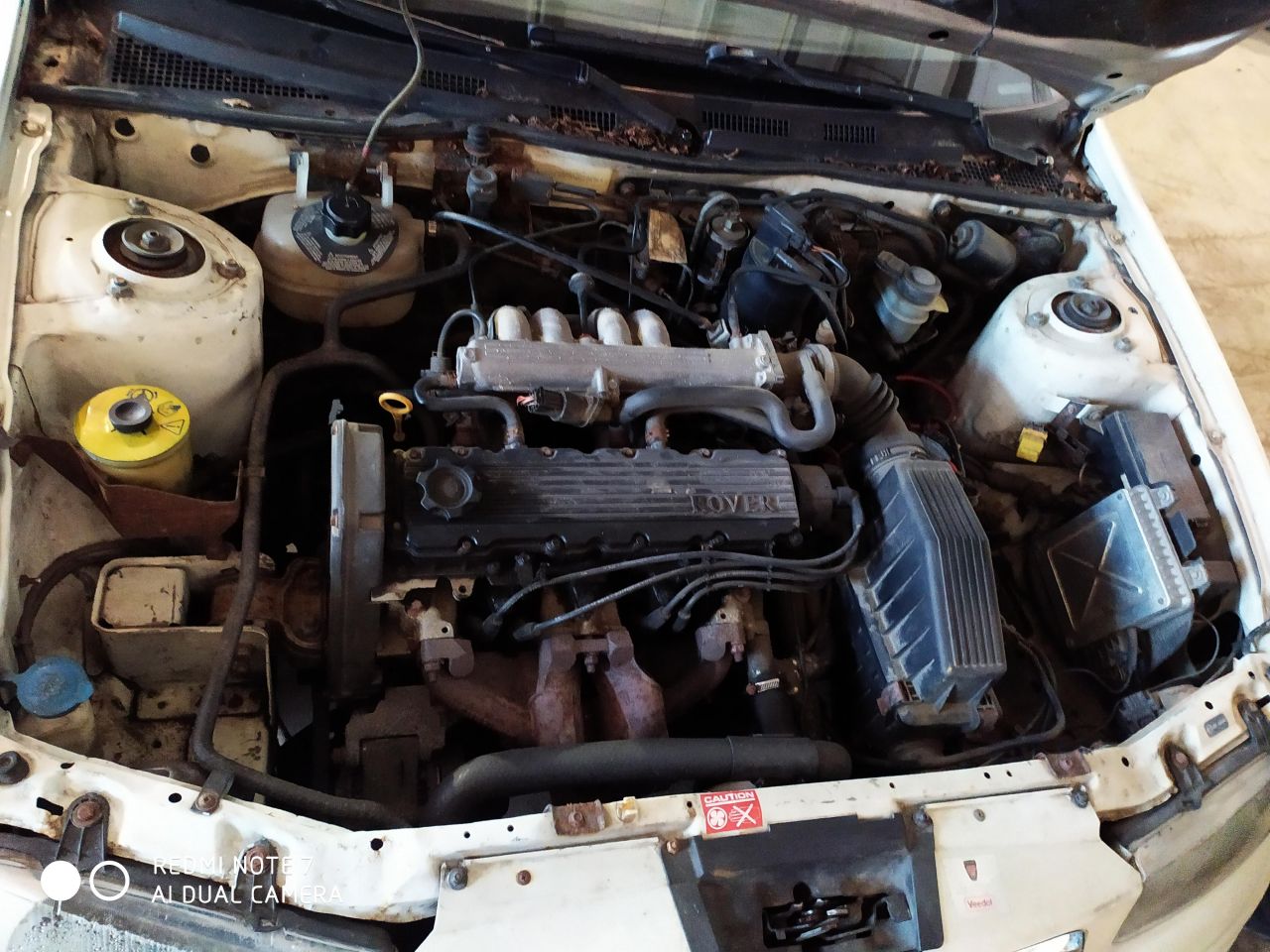 Rover, Hatchback | 7