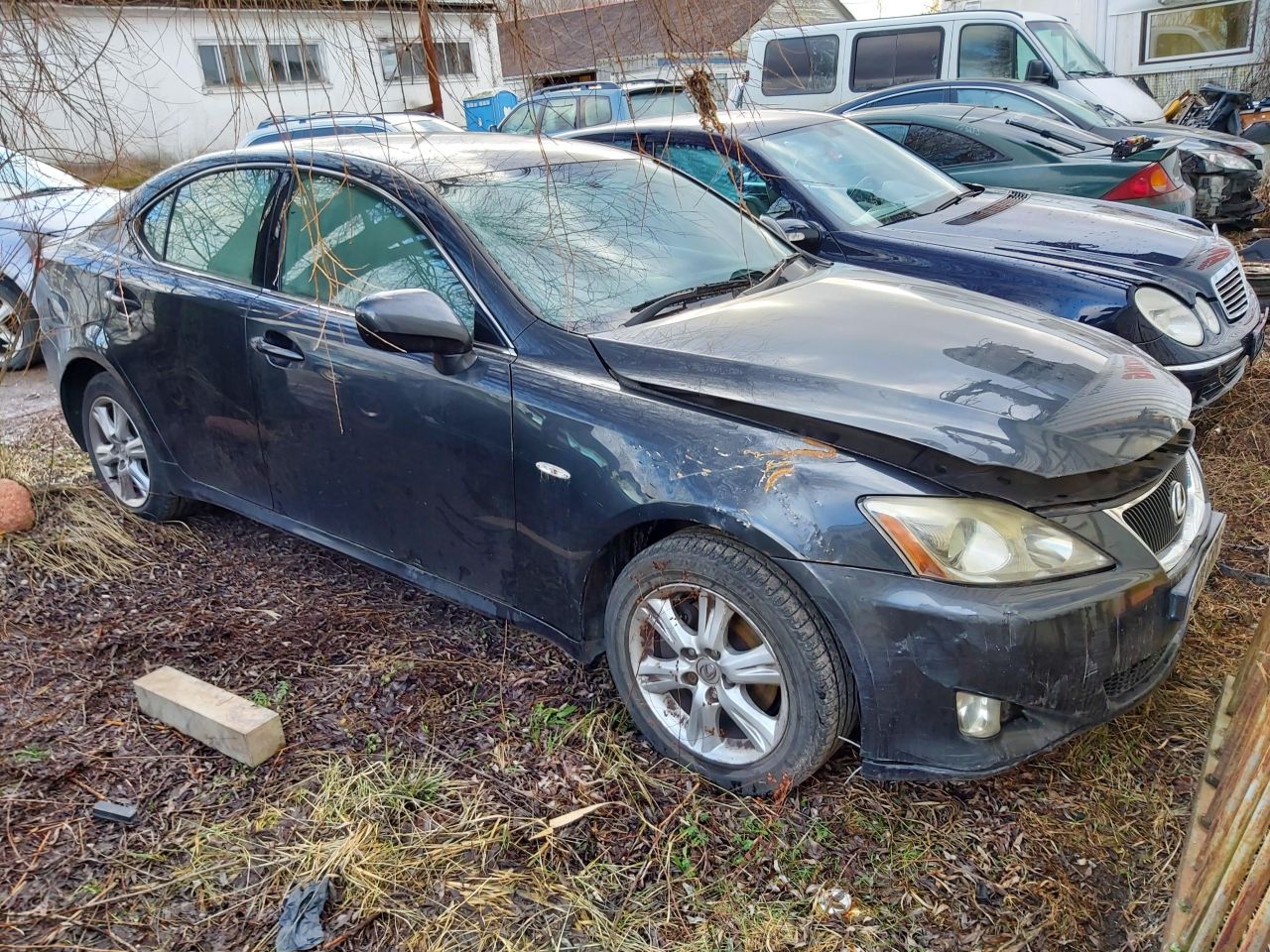 Lexus, Sedanas | 4
