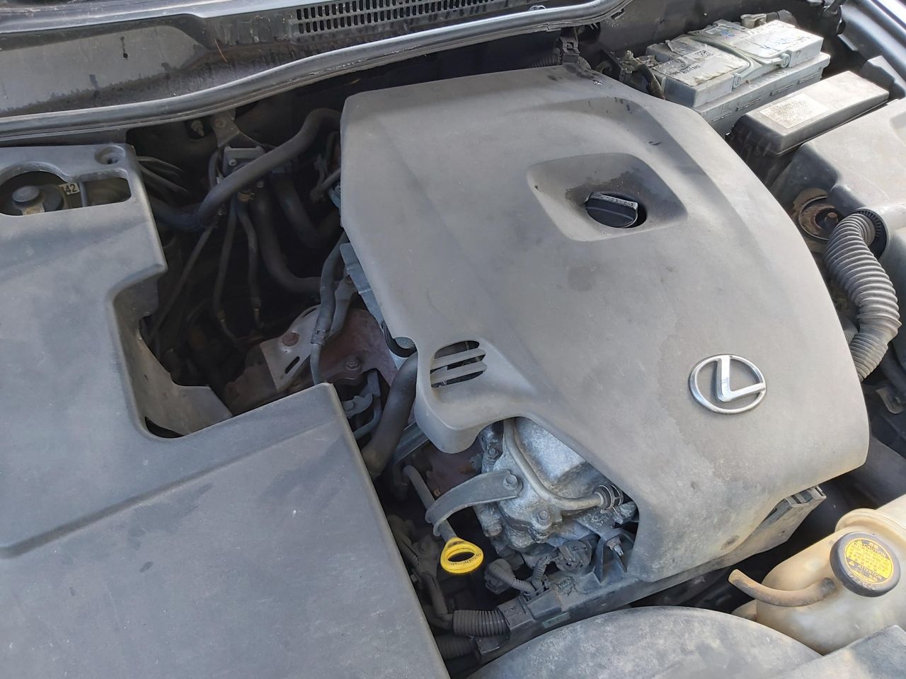Lexus, Sedanas | 1