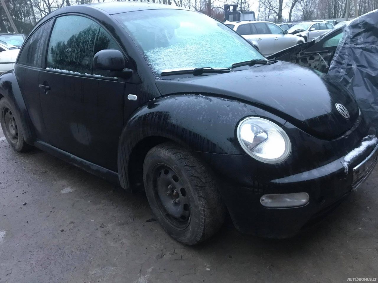 Volkswagen Beetle, Coupe | 2