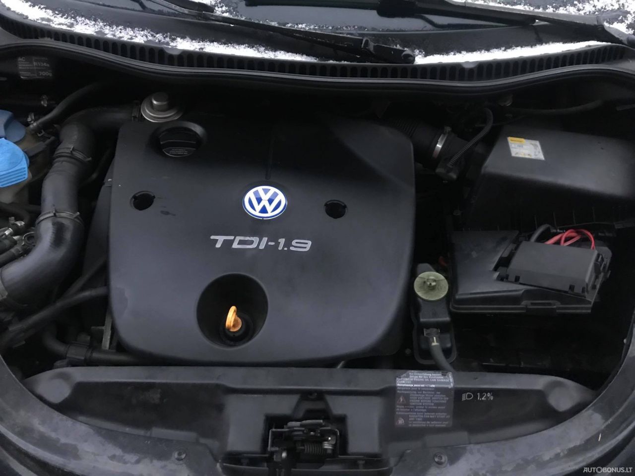 Volkswagen Beetle, Coupe | 4
